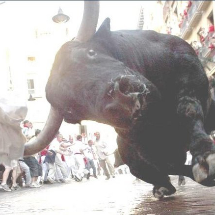 S-a pierdut toreador, ofer recompensă