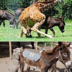 Doin’ it wrong