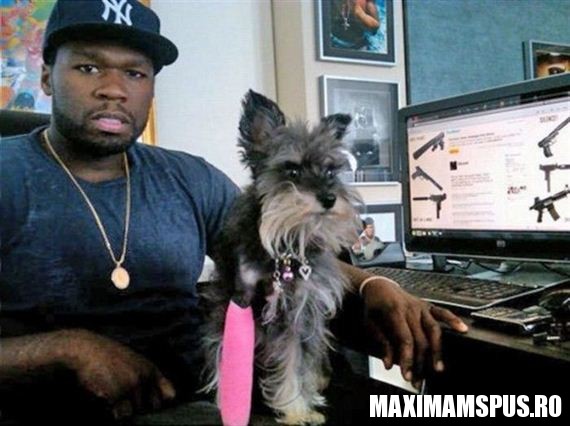 Cainele lui 50 Cent